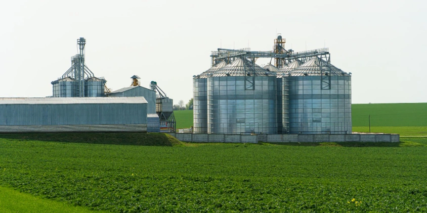 Agricultural Plant